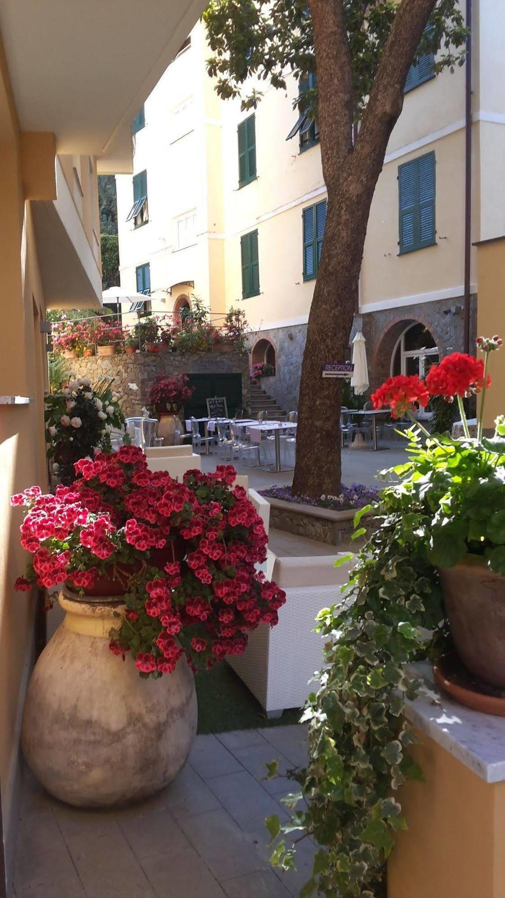 Hotel Souvenir Monterosso al Mare Bagian luar foto